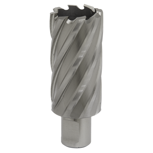Worksafe® 32mm HSS Mag Drill Bit Cut Depth 50mm