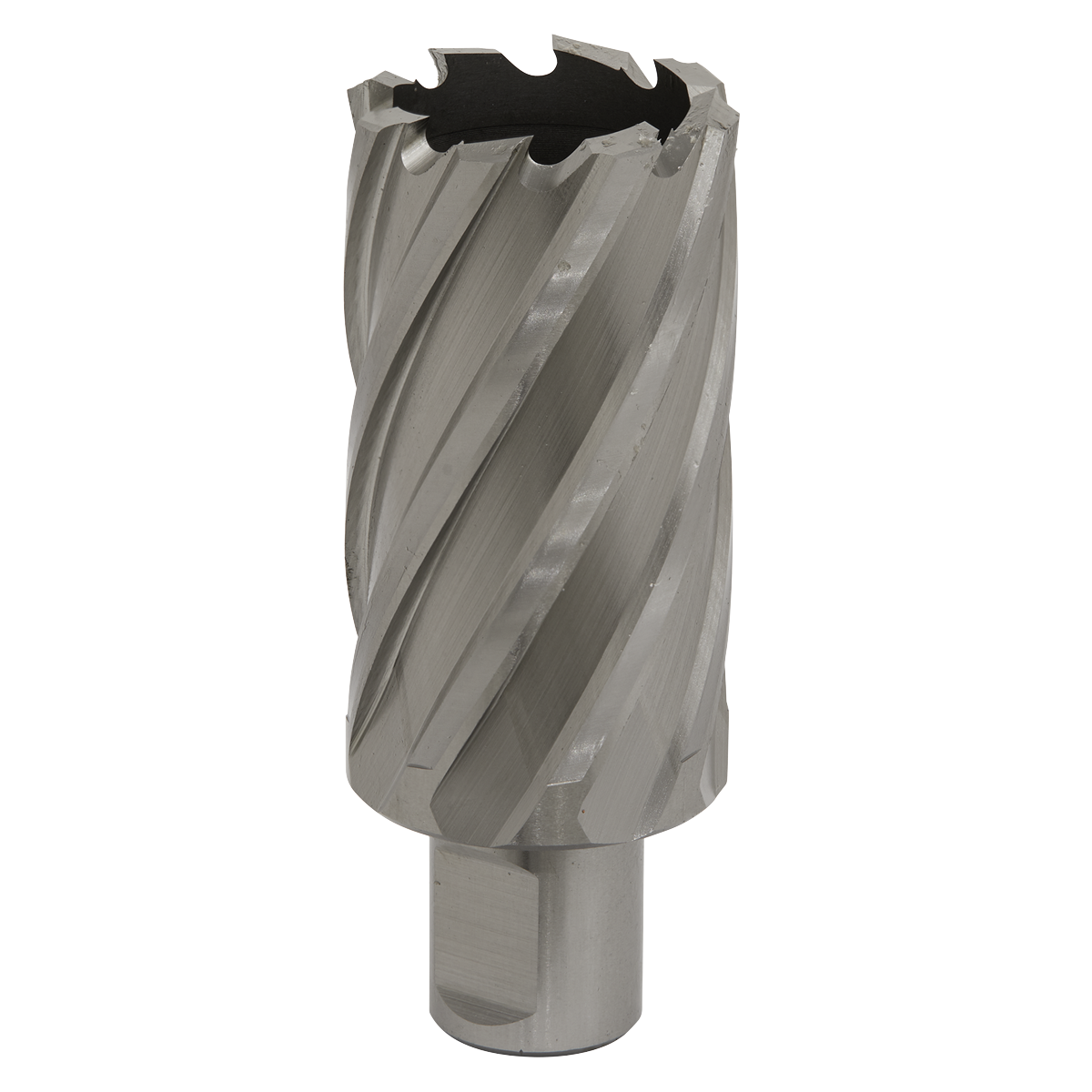 Worksafe® 34mm HSS Mag Drill Bit Cut Depth 50mm