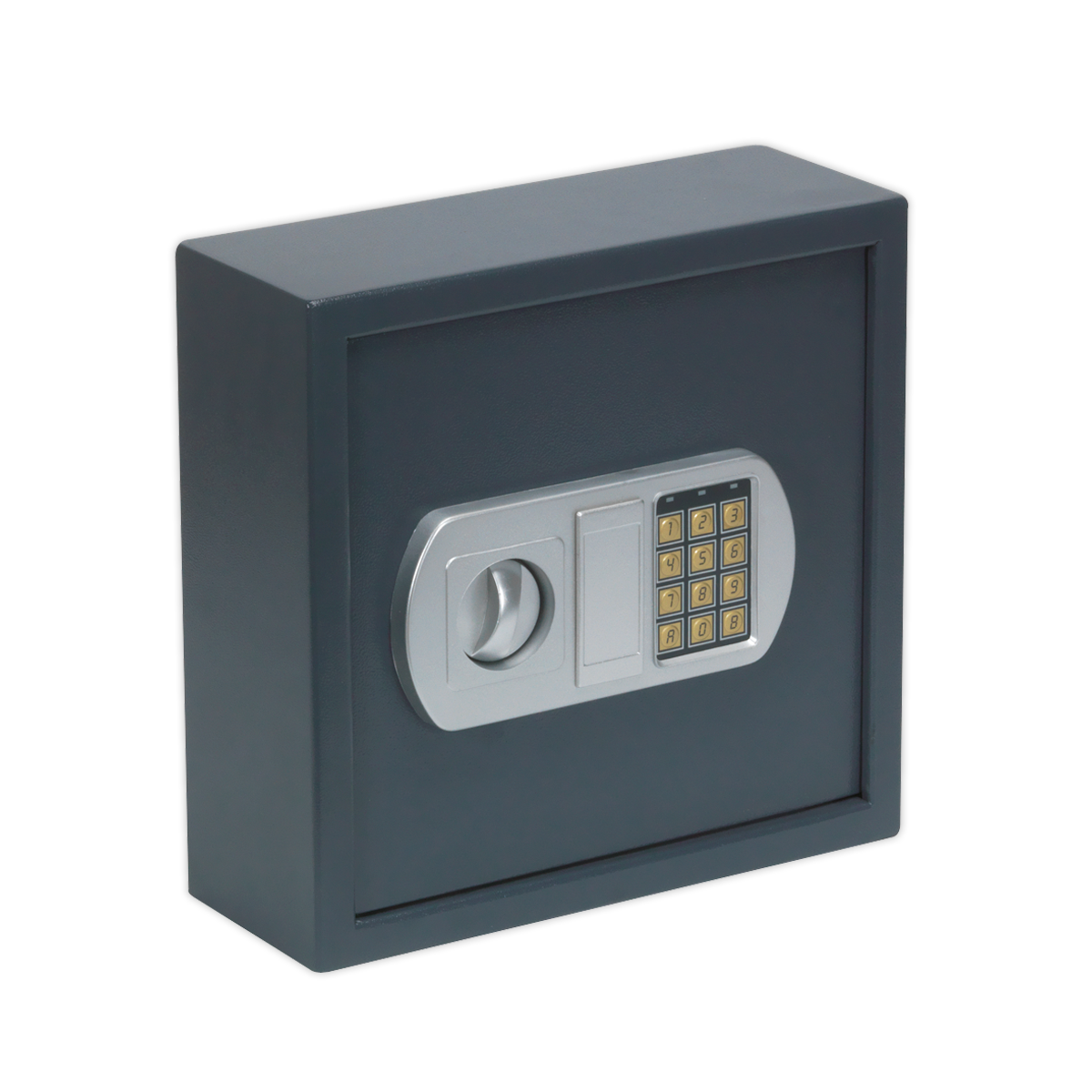 Electronic Key Cabinet 25 Key Capacity – MCToolsDirect