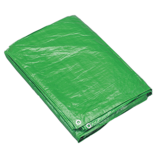 Tarpaulin 6.10 x 12.19m - Green