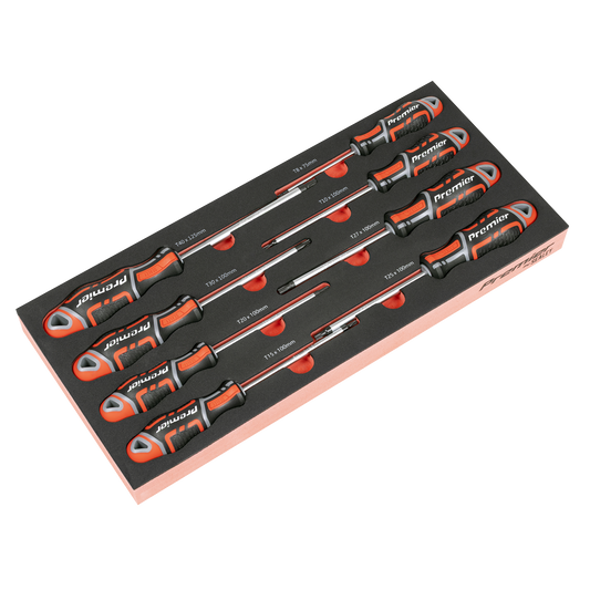 Premier TRX-Star* Screwdriver Set with Tool Tray 8pc