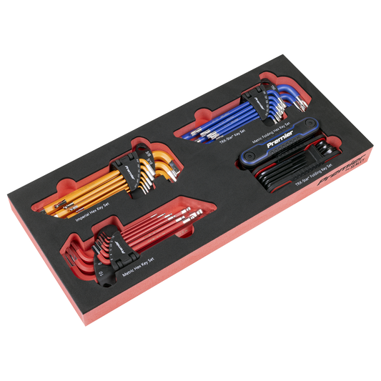 Premier Master Key Set with Tool Tray 43pc