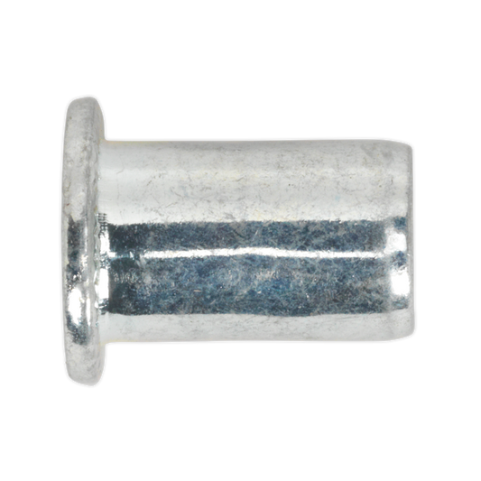 Regular Threaded Insert (Rivet Nut) M6 - Pack of 50