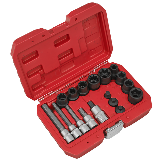 Brake Caliper Socket Set 17pc