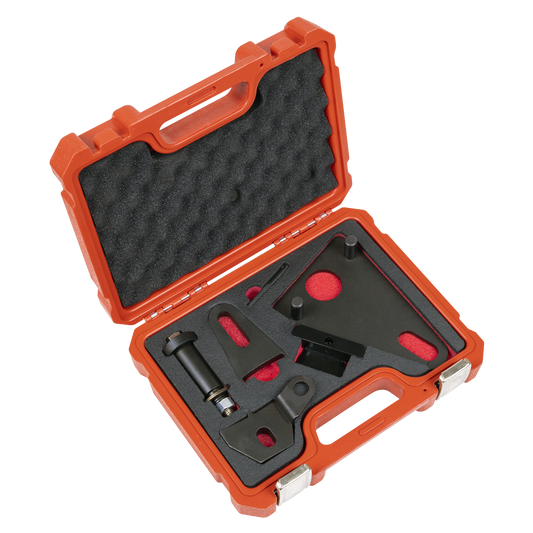 Front Pulley & Flywheel Locking Tool Set - Chain Drive