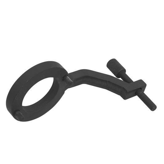 Fuel Pump Holding Tool - for Jaguar, Land Rover 3.0D TDV6 - Belt Drive