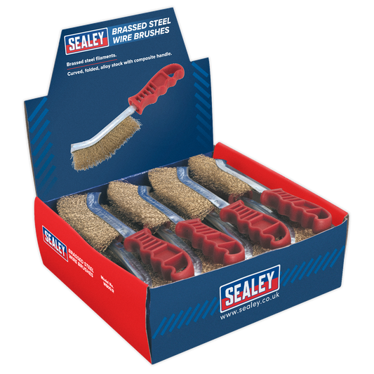 Brassed Steel Wire Brush with Plastic Handle - Display Box of 24