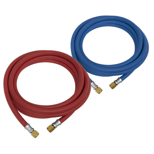 Oxyacetylene Welding Hose Set 10m
